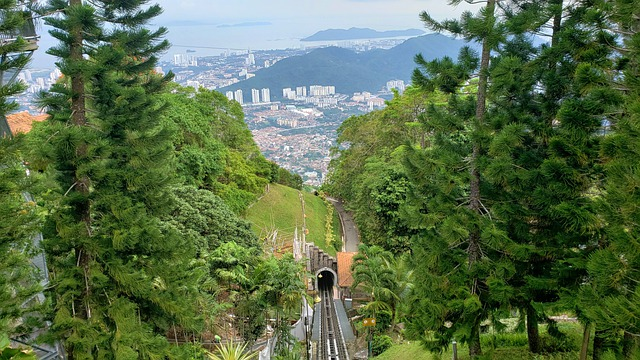 A cable car is going down a hill in penang surrounded by trees.