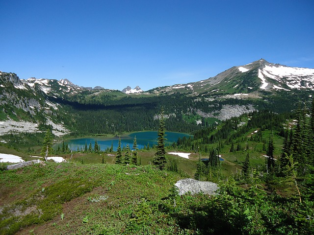 A lake in the middle of a forest with mountains in the background in north cascades np
