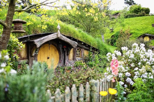 A small hobbit hole in the shire