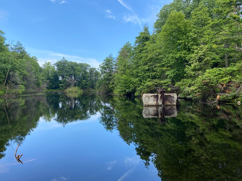 A large body of water surrounded by trees in Fahnestock State Park on a sunny day.