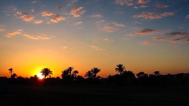 The sun is setting behind a row of palm trees in Marrakech
