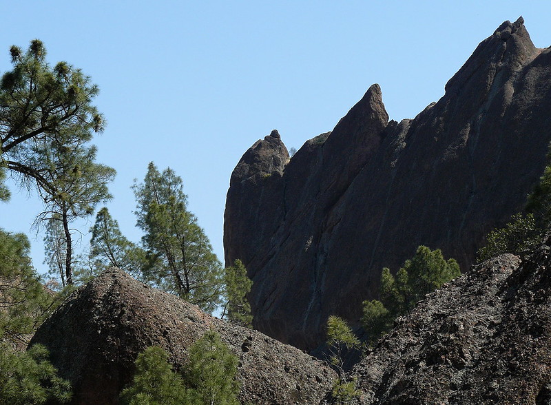 A mountain with trees in Pinnacles National Park