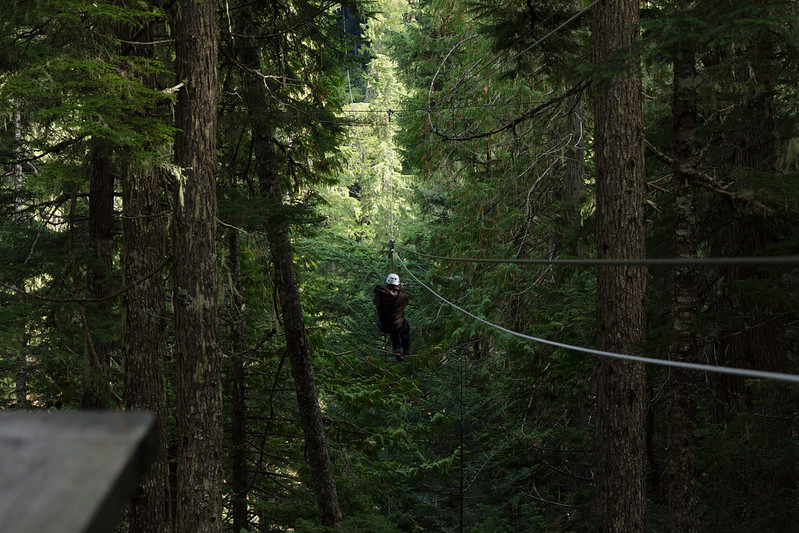 A person is flying through the air on a zip line in Ganaraska Forest