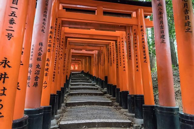 A row of orange torii gates in a shrine in kyoto