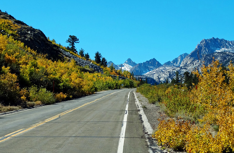 A road in California with mountains in the background and trees on the side