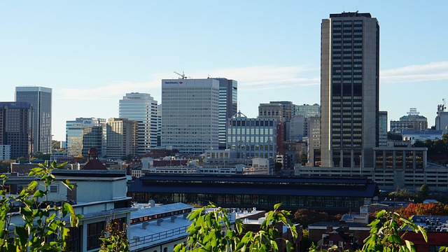 The richmond skyline with a lot of buildings and trees in the foreground