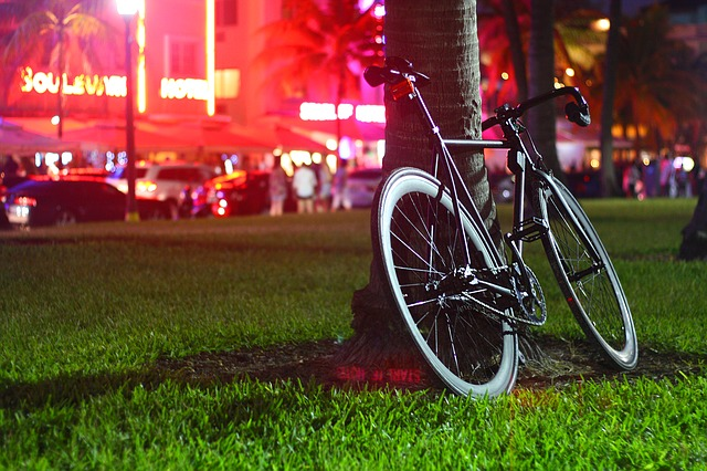 A bicycle is leaning against a tree in a miami park at night