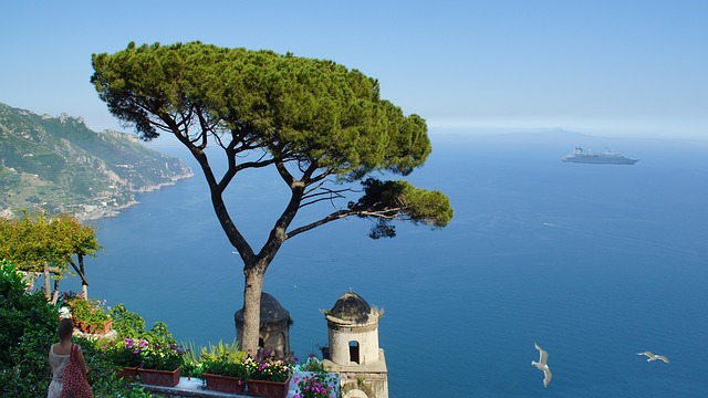 A tree is sitting on top of a hill overlooking the Amalfi Coast.