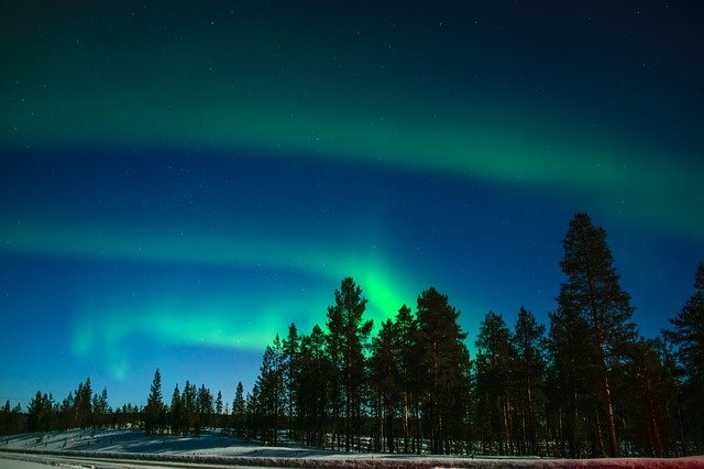 The northern lights are dancing in the night sky over a snowy forest.