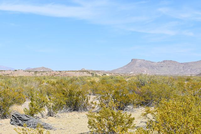 Big Bend NP landscape