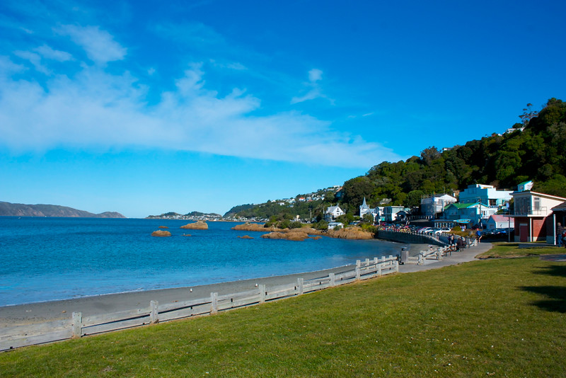 A beach in Wellington with a lot of grass and a body of water in the background.