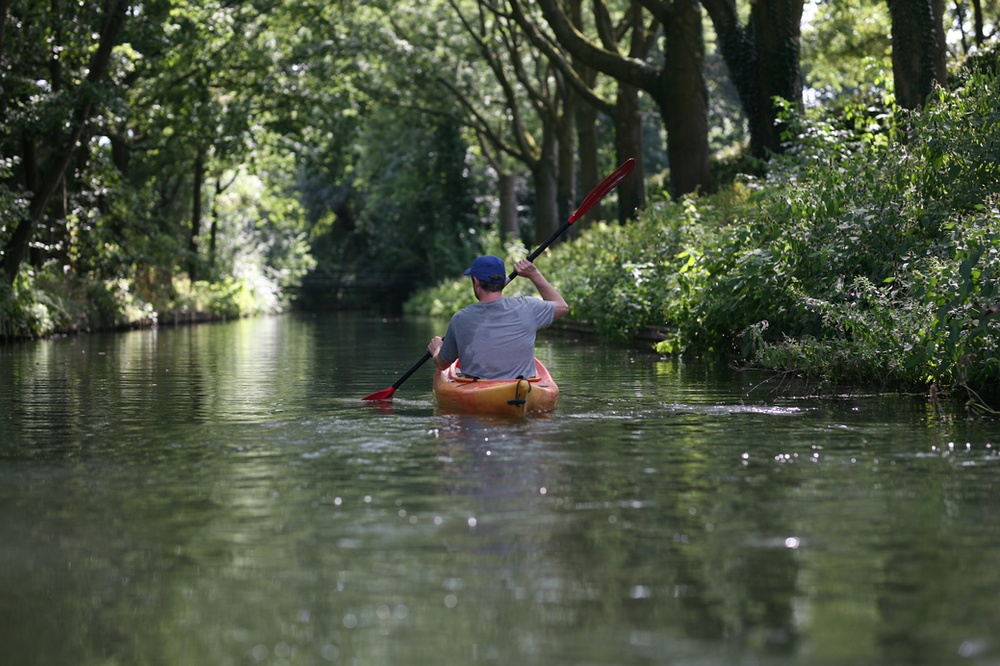 A man is paddling a kayak down a river in redwood np.