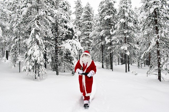 Santa claus is walking through a snowy forest.