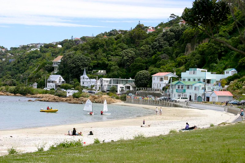 A beach in Wellington with boats in the water and houses in the background