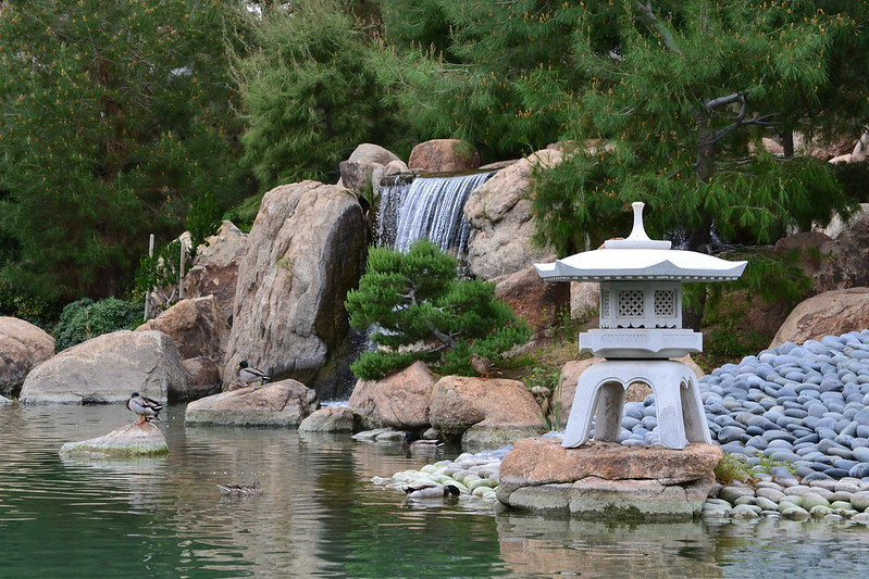 There is a waterfall in the background and a lantern in the foreground at the Japanese Friendship Garden Of Phoenix
