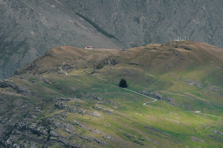 There is a small tree in the middle of a mountain.