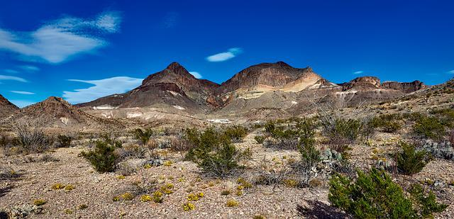 A desert landscape at Big Bend National Park