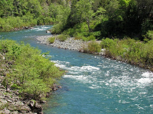 A river flowing through a lush green forest in redwood state park