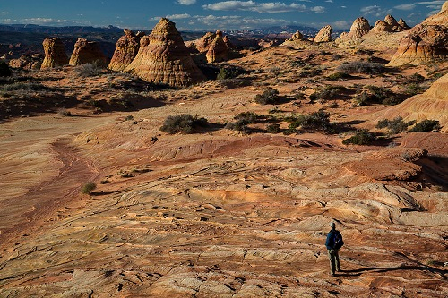 A man is standing in the middle of a desert landscape at Vermillion Cliffs National Monument