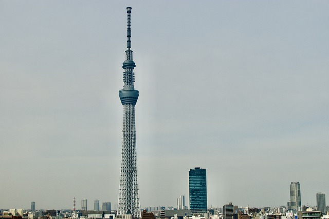 The Tokyo Skytree
