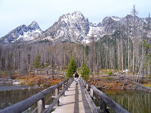 A person is walking across a wooden bridge over a lake with mountains in the background in grand teton np