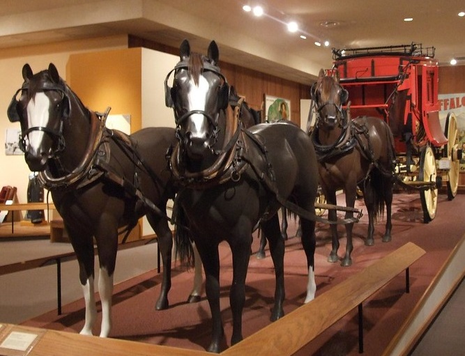 A horse drawn carriage is on display in a deadwood museum