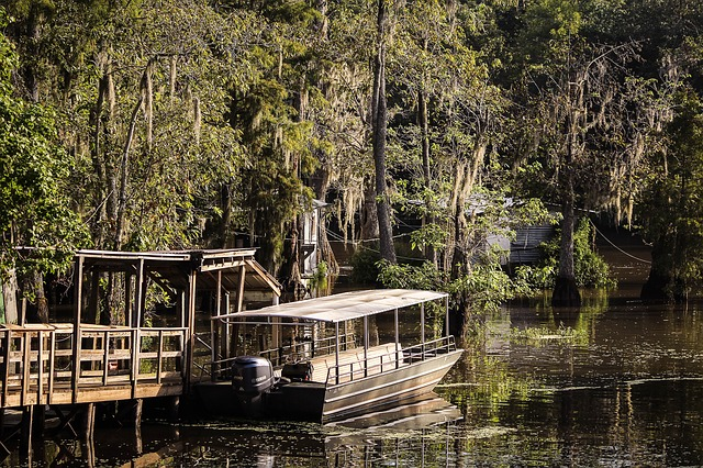 Pearl River Wildlife Management Area