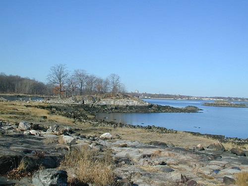 A natural preserve in NYC