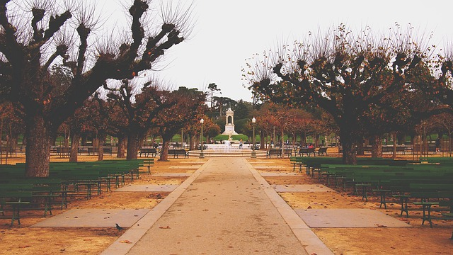 Golden Gate park with trees and benches and a statue in the background