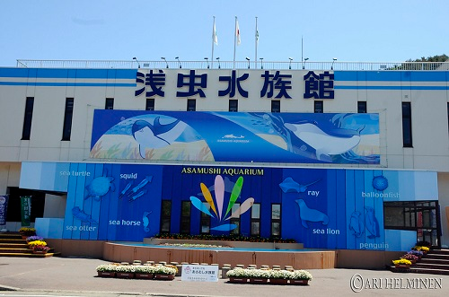 The front of a building in Amori City