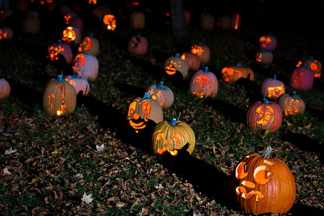 A field of pumpkins with faces carved into them are lit up at night at the Great Jack O’Lantern Blaze