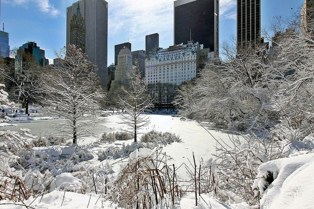 A snowy central park with the new york city skyline in the background
