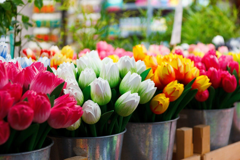 A bunch of wooden tulips in Amsterdam