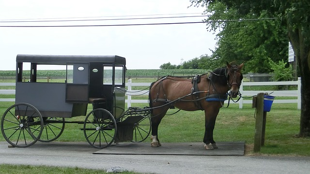 A horse drawn carriage is parked on the side of the road in lancaster
