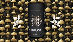 A bottle of mushroom supplement from Nootrum sits on top of a pile of mushrooms.