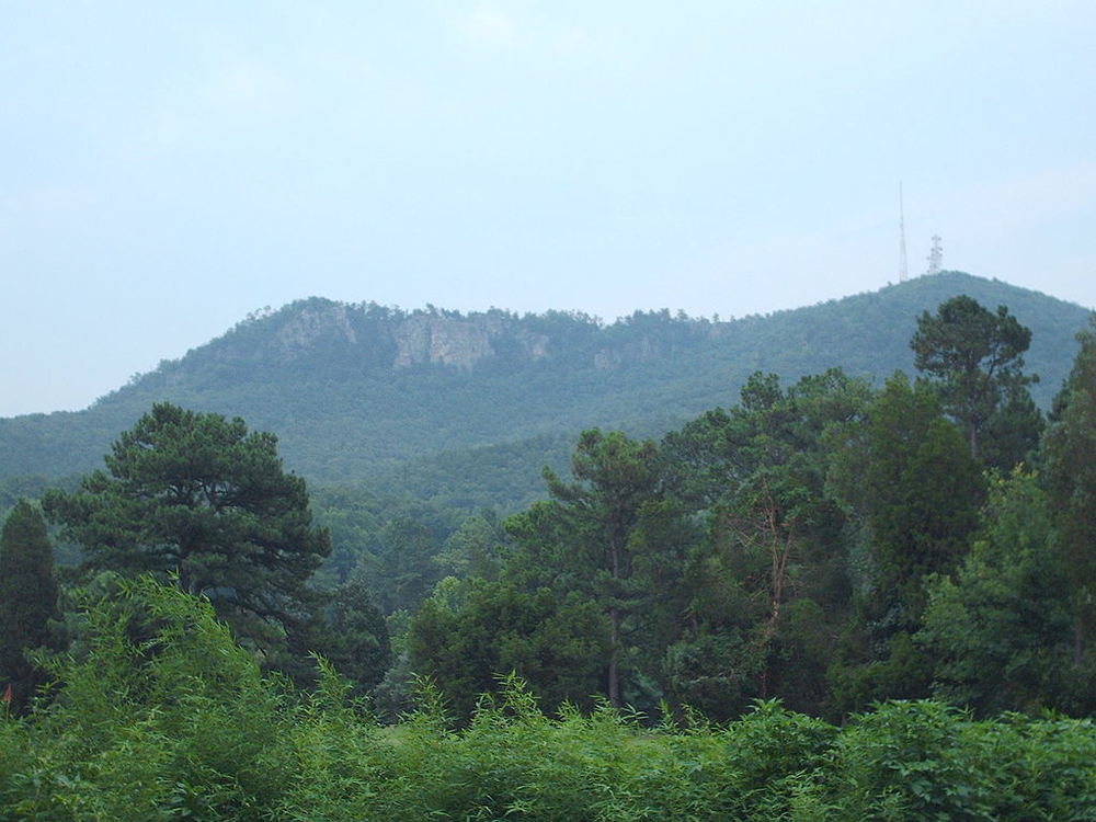 Crowders Mountain State Park covered in trees with a tower in the distance