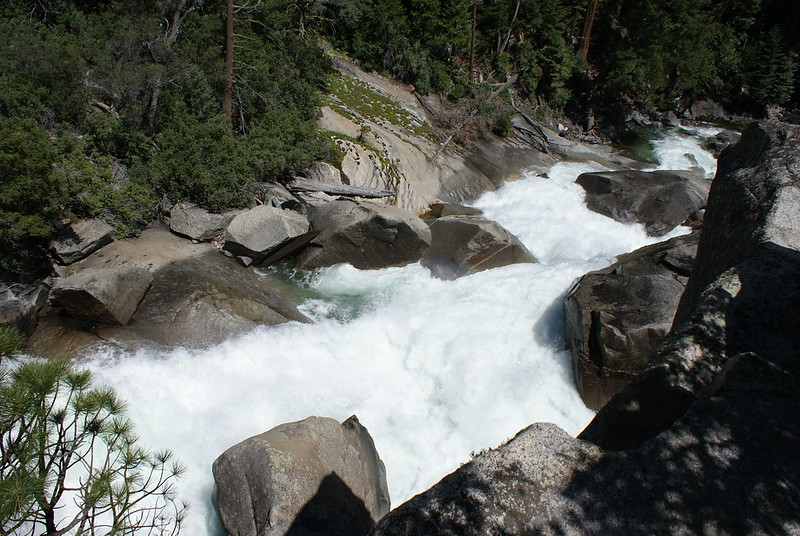 A river flowing through a lush green forest in Kings Canyon NP surrounded by rocks