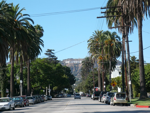 An LA street with palm trees and a hollywood sign in the background