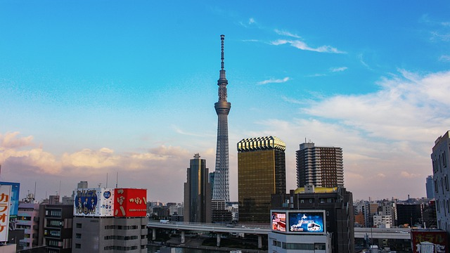 Tokyo skyline 