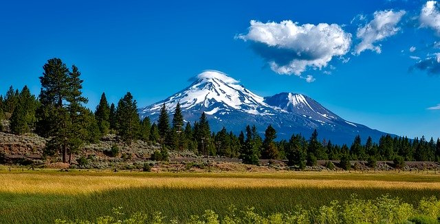 There are two mountains in the background and a field in the foreground of Shasta – Trinity National Forest