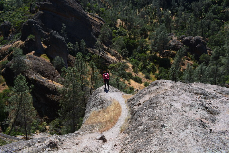 A person is standing on top of a rocky hill in Pinnacles NP