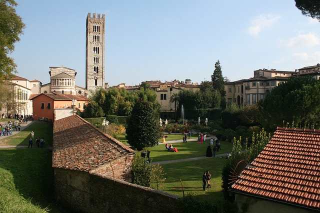 A view of a Tuscany park with a tower in the background