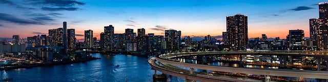 An aerial view of Tokyo, Japan