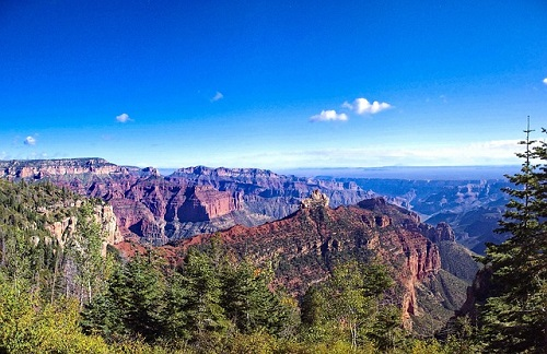 A view of the grand canyon from the top of the north rim
