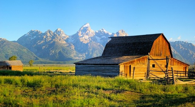 A historic barn is sitting in the middle of a grassy field on Mormon Row in grand teton np with mountains in the background.
