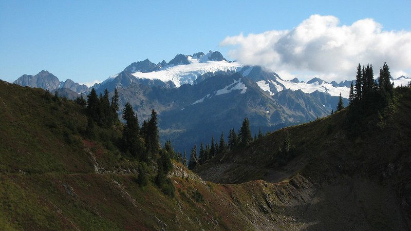 A mountain covered in snow with trees in the foreground in olympic np