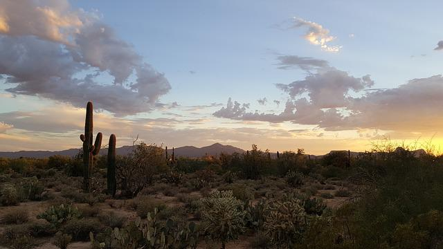 A desert landscape with cactus and mountains in the background outside tombstone  at sunset.
