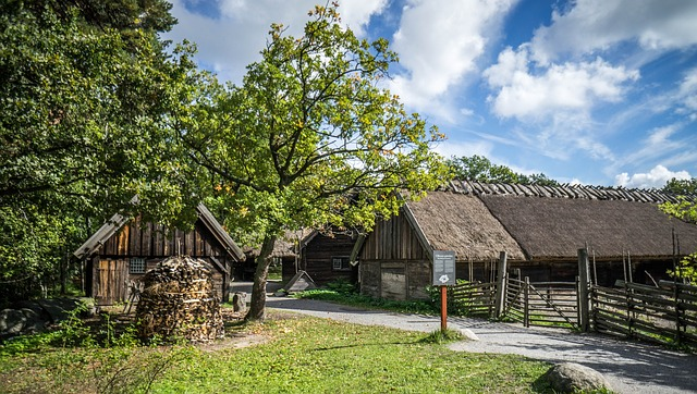 A group of old wooden houses with thatched roofs at the skansen museum & zoo