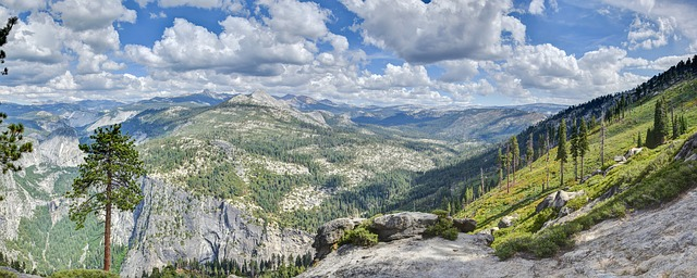 Yosemite National Park