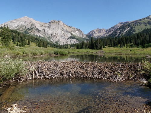 A small pond in the middle of a field in Bridger – Teton National Forest with mountains in the background